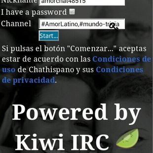 WebChat Movil