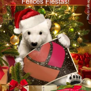 Felices Fiestas